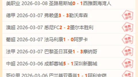 莱斯特城主场连败不止，空手而归创队史最差，范尼执教理念引质疑