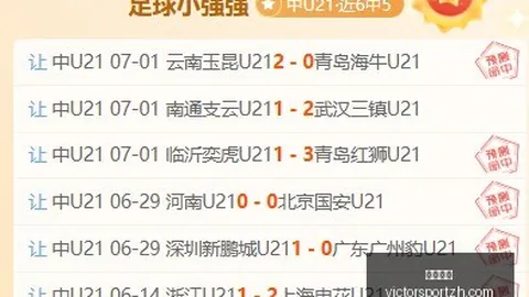 胜利体育 071846 7